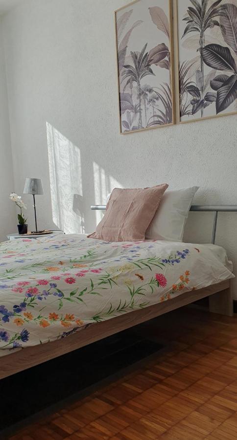 Charming Penthouse Near Como Lake Chiasso Buitenkant foto